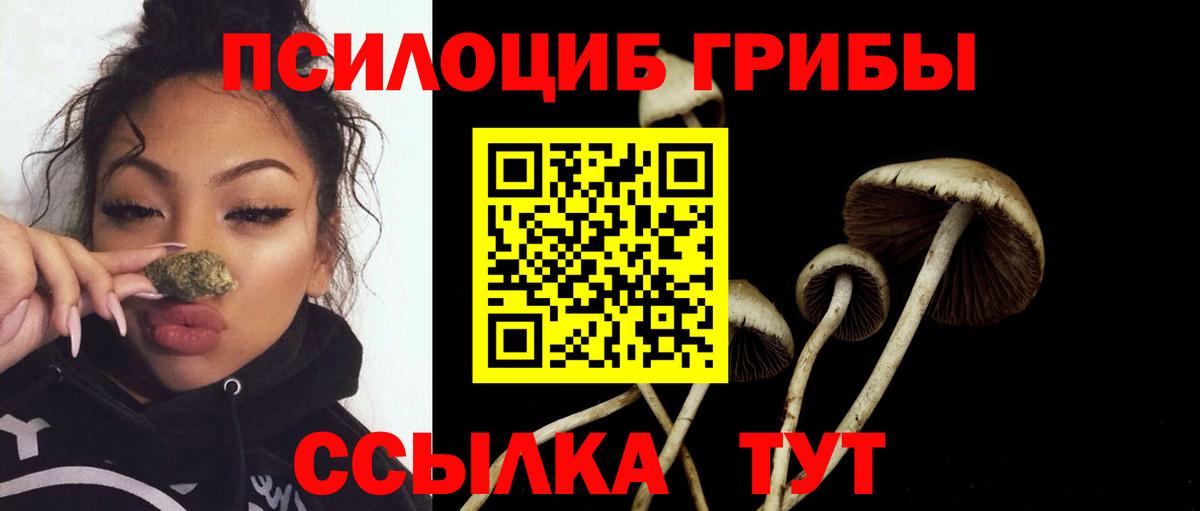 Псилоцибиновые грибы прущие грибы  Вход с VPN  Тара 